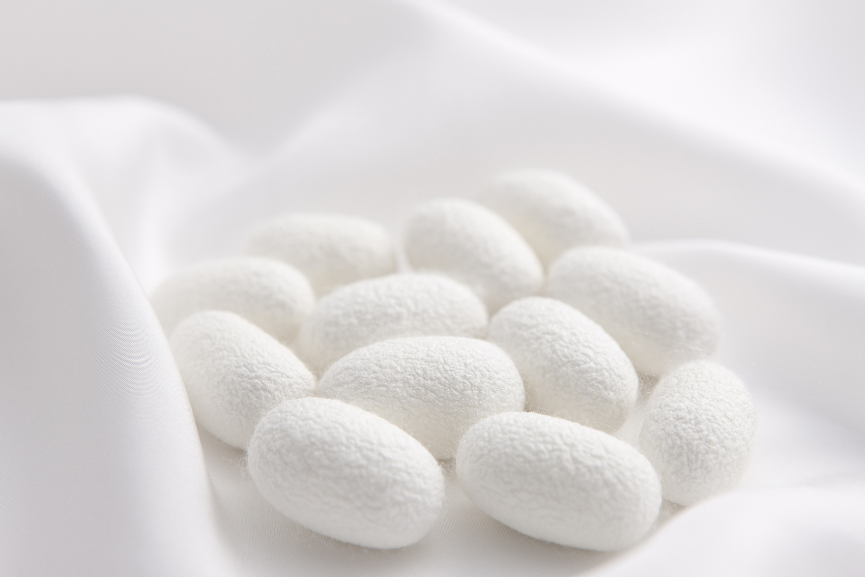 國家“十四五”重點布局領域 | 再生材料——絲素蛋白