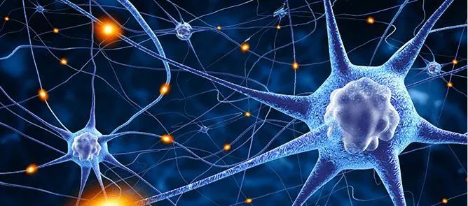 MA市場準入 | 神經介入①植入式神經刺激器-臨床評價路徑